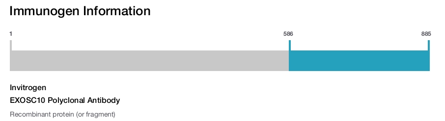 EXOSC10 Polyclonal Antibody