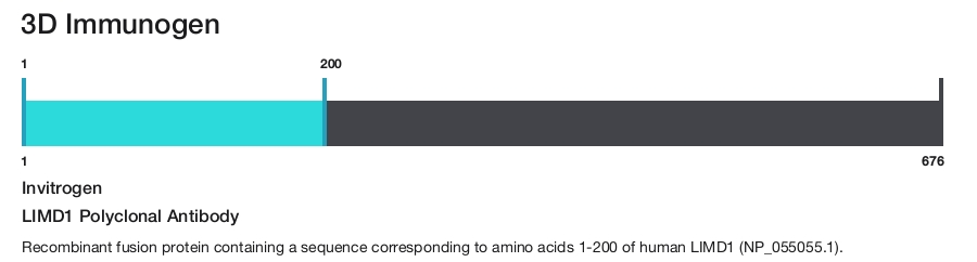 LIMD1 Polyclonal Antibody