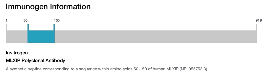 MLXIP Polyclonal Antibody