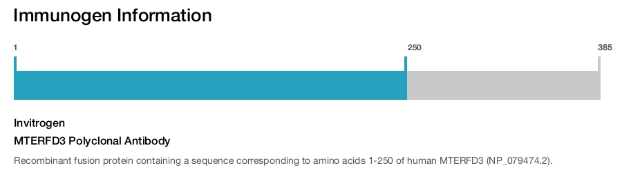 MTERFD3 Polyclonal Antibody