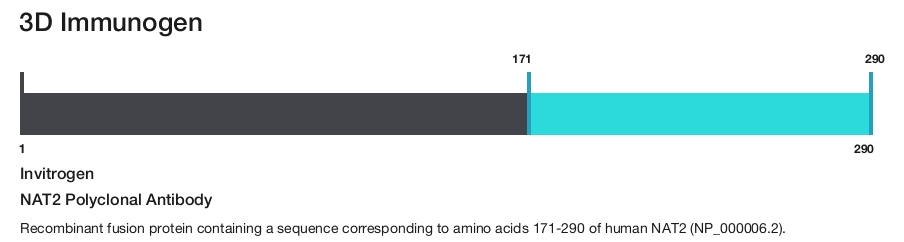 NAT2 Polyclonal Antibody