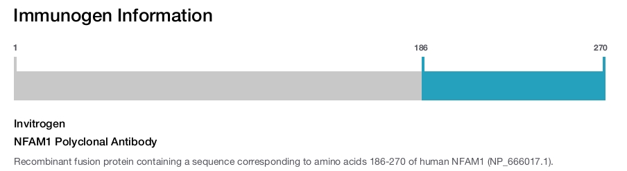 NFAM1 Polyclonal Antibody