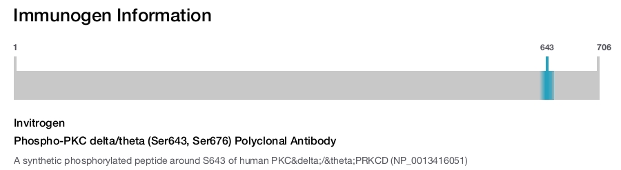 Phospho-PKC delta/theta (Ser643, Ser676) Polyclonal Antibody