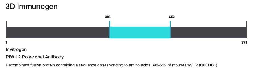 PIWIL2 Polyclonal Antibody