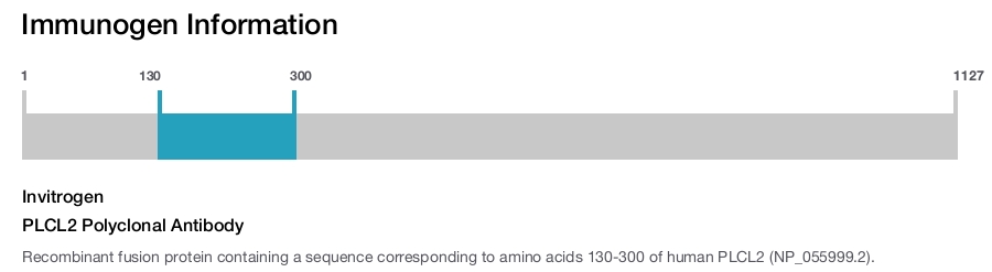 PLCL2 Polyclonal Antibody