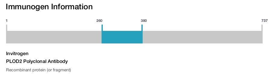 PLOD2 Polyclonal Antibody