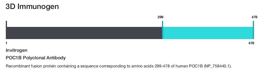 POC1B Polyclonal Antibody