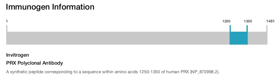 PRX Polyclonal Antibody