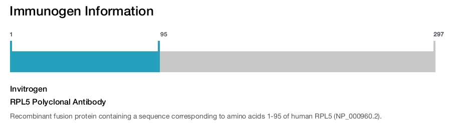 RPL5 Polyclonal Antibody