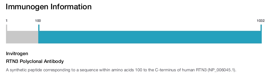 RTN3 Polyclonal Antibody