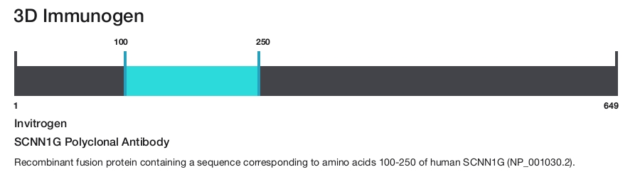 SCNN1G Polyclonal Antibody