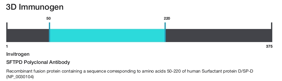 SFTPD Polyclonal Antibody
