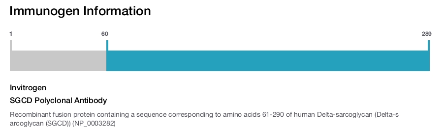 SGCD Polyclonal Antibody