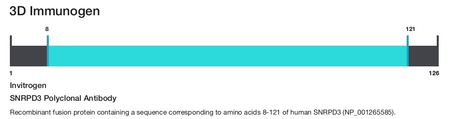 SNRPD3 Polyclonal Antibody