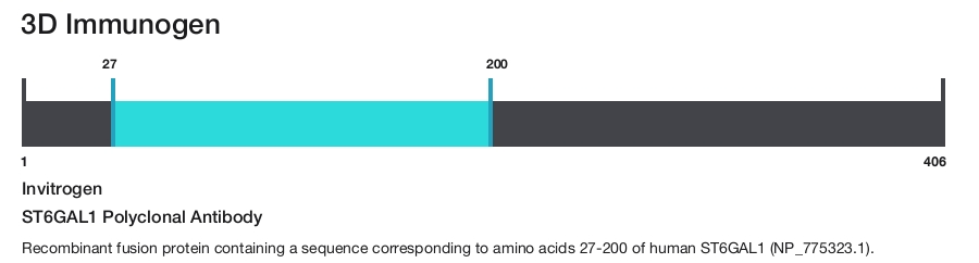 ST6GAL1 Polyclonal Antibody