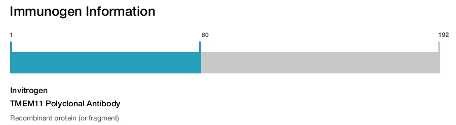 TMEM11 Polyclonal Antibody