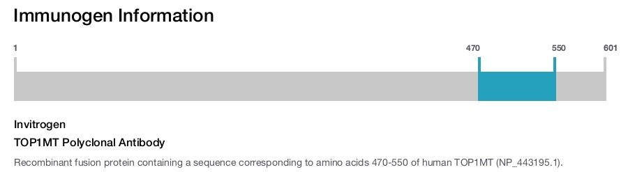 TOP1MT Polyclonal Antibody