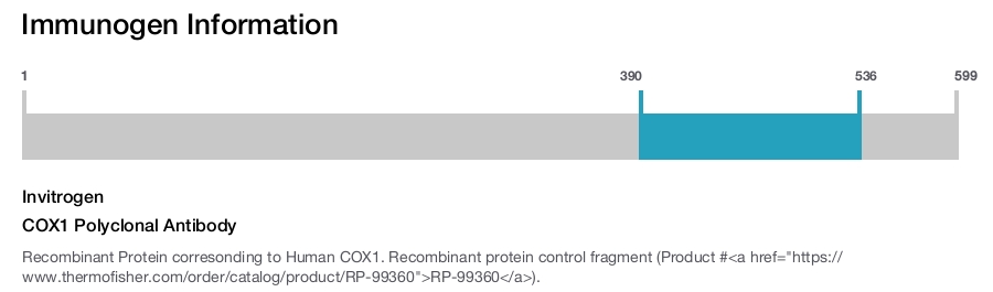 COX1 Polyclonal Antibody
