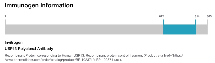 USP13 Polyclonal Antibody