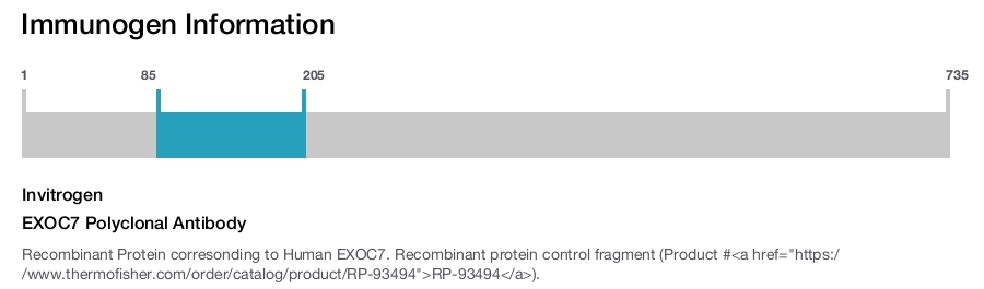 EXOC7 Polyclonal Antibody