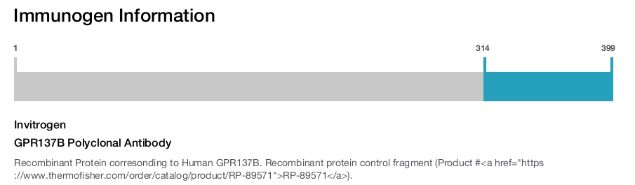 GPR137B Polyclonal Antibody