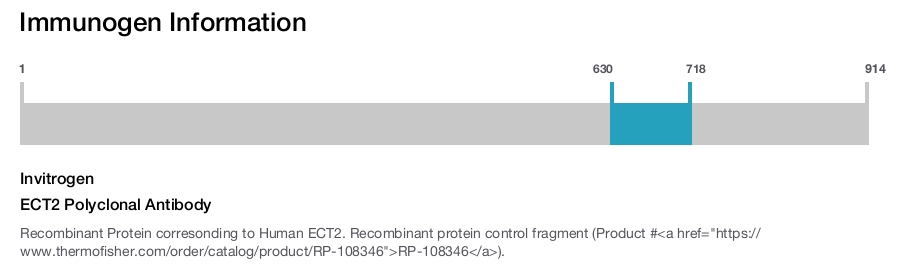 ECT2 Polyclonal Antibody