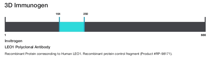 LEO1 Polyclonal Antibody