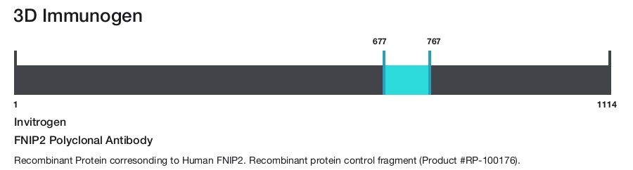 FNIP2 Polyclonal Antibody