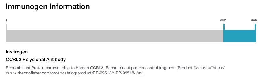 CCRL2 Polyclonal Antibody