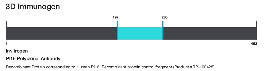 PI16 Polyclonal Antibody