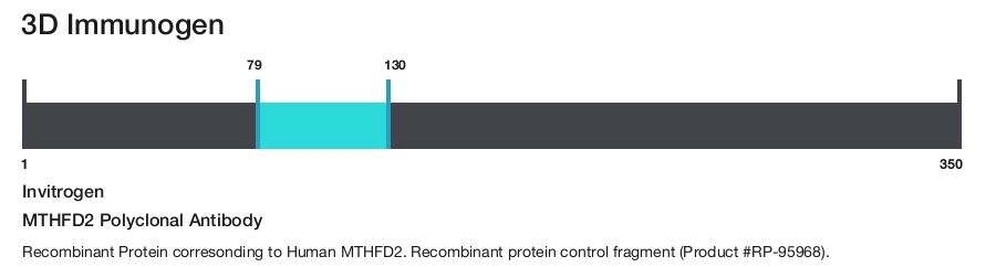 MTHFD2 Polyclonal Antibody