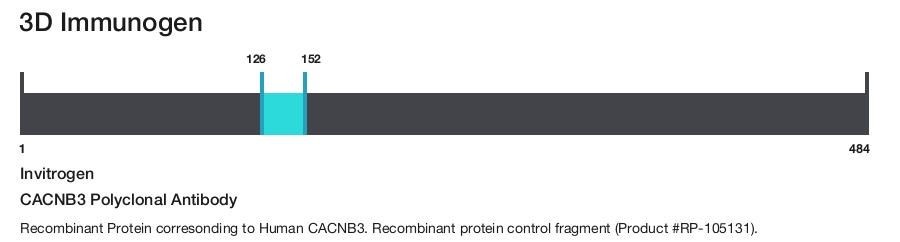 CACNB3 Polyclonal Antibody