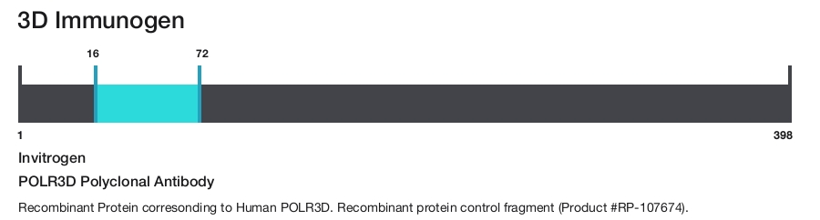 POLR3D Polyclonal Antibody