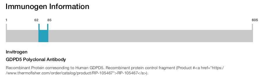 GDPD5 Polyclonal Antibody