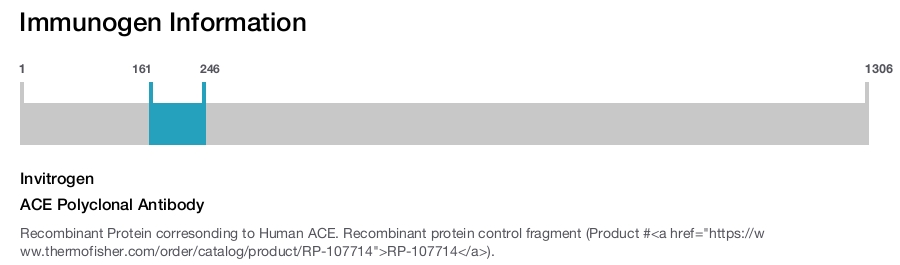 ACE Polyclonal Antibody