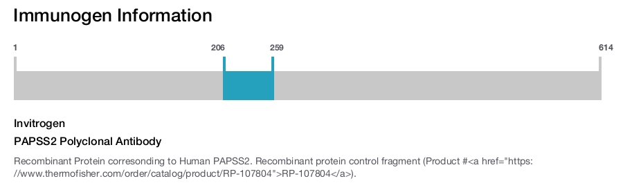 PAPSS2 Polyclonal Antibody