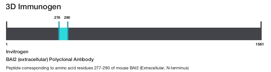 BAI2 (extracellular) Polyclonal Antibody