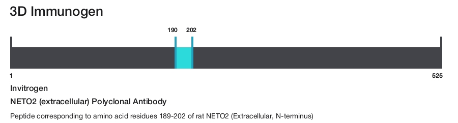 NETO2 (extracellular) Polyclonal Antibody