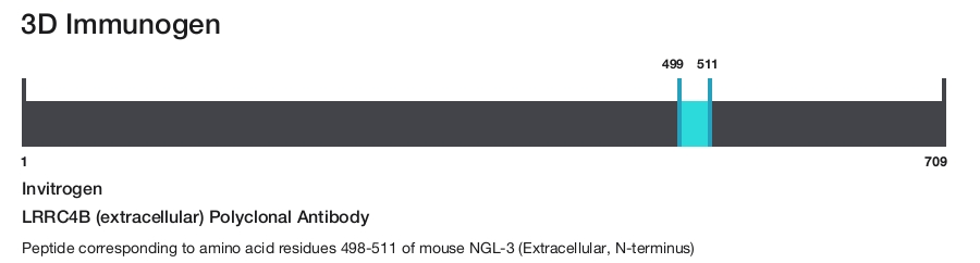 LRRC4B (extracellular) Polyclonal Antibody