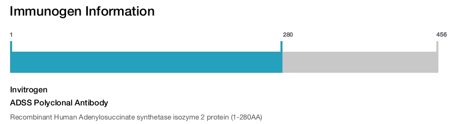 ADSS Polyclonal Antibody