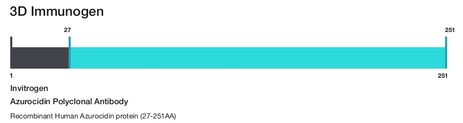 Azurocidin Polyclonal Antibody