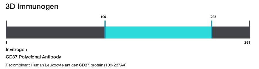CD37 Polyclonal Antibody