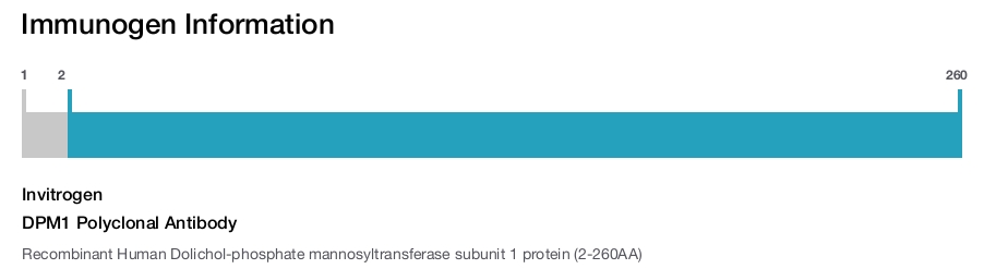 DPM1 Polyclonal Antibody