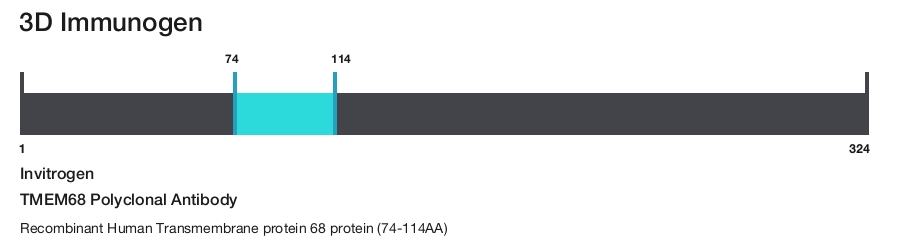 TMEM68 Polyclonal Antibody