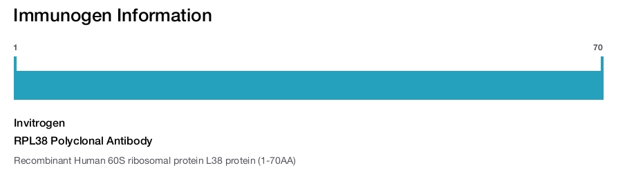 RPL38 Polyclonal Antibody