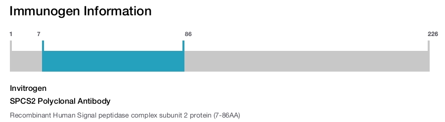 SPCS2 Polyclonal Antibody