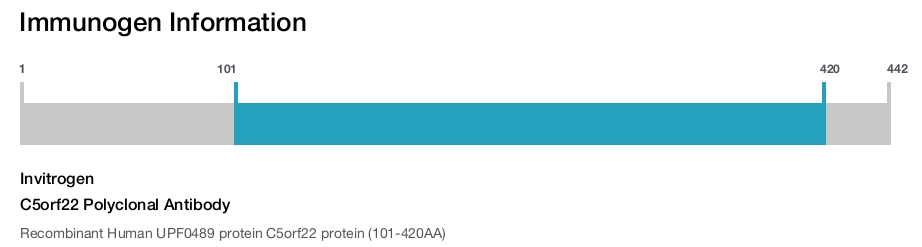 C5orf22 Polyclonal Antibody