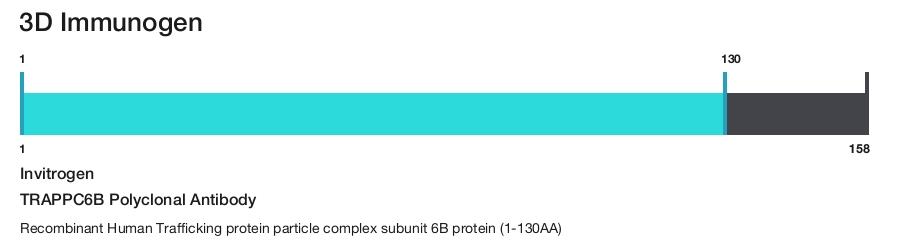 TRAPPC6B Polyclonal Antibody