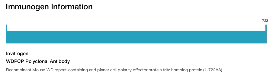 WDPCP Polyclonal Antibody