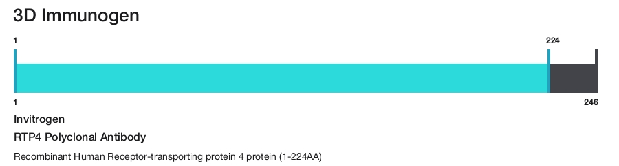 RTP4 Polyclonal Antibody